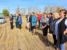 В село Долговка пришел «Ростелеком»