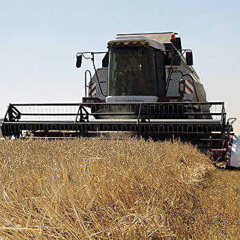 Воры разобрали на запчасти дорогие комбайны в Херсонской области