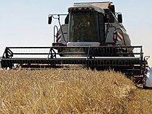 Воры разобрали на запчасти дорогие комбайны в Херсонской области