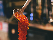 Названы способы отличить настоящую красную икру от подделки