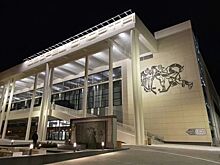 Самара станет российской столицей единоборств