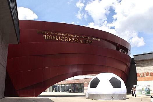 Инсталляция в виде огромного футбольного мяча открылась в Истре