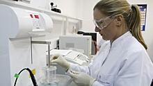 Российские биологи начали создание ДНК‐вакцины против бешенства