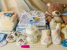 Депутат Крупник: выдавать наборы для новорожденных нужно во всех регионах РФ