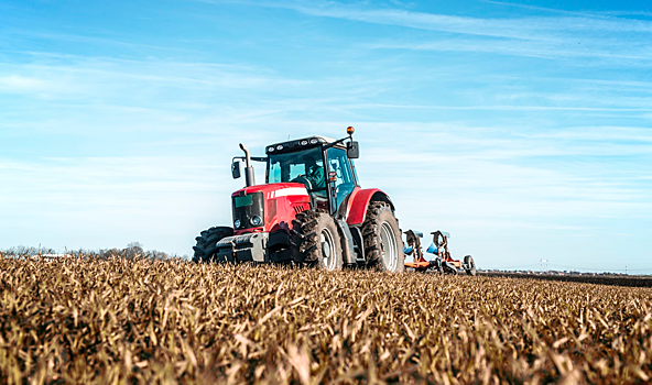 В Новосибирской области прогнозируют рост валового объема сельхозпродукции на 43%