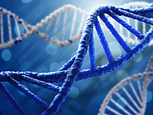 Раскрыт новый механизм возникновения жизни