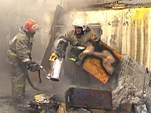 Козы сгорели в Куйбышевском районе