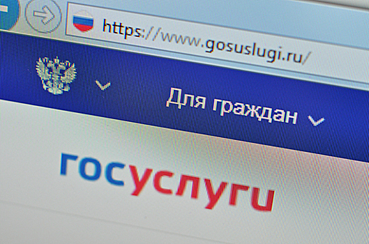 Ограничения для должника на выезд из России можно будет снять в течение часа