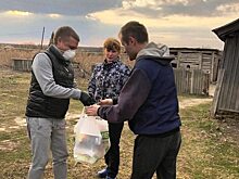Волонтеры помогают пожилым людям и многодетным семьям в районах Саратовской области