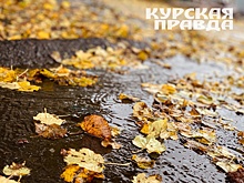 Курске опавшую листву ежедневно убирают 38 единиц техники