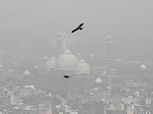 Удушающий смог окутал Нью-Дели: власти решились на необычную меру