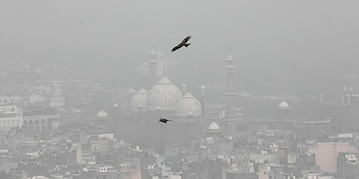 Удушающий смог окутал Нью-Дели: власти решились на необычную меру