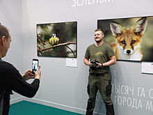 Фестиваль «Золотая черепаха» соберет лучших в мире фотографов дикой природы