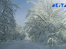 Перевалы Приморья припорошило снегом