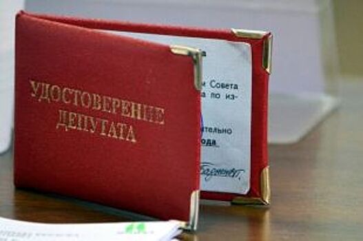 Двух омских депутатов лишили мандатов за скрытые доходы