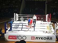 В столице Черноземья прошёл турнир, посвящённый 95-летию воронежского бокса