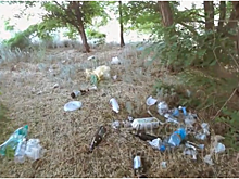 Жителей Кировского района ткнули носом в Набережную им. Высоцкого