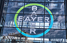 РБК: российские аграрии приостановили переговоры с Bayer о трансфере технологий в области селекции