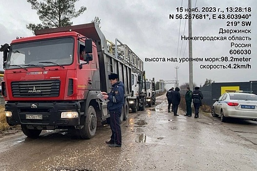 «Черных мусорщиков» оштрафуют за незаконный сброс 100 тонн отходов в Дзержинске