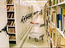 Библиотекари занялись трудоустройством