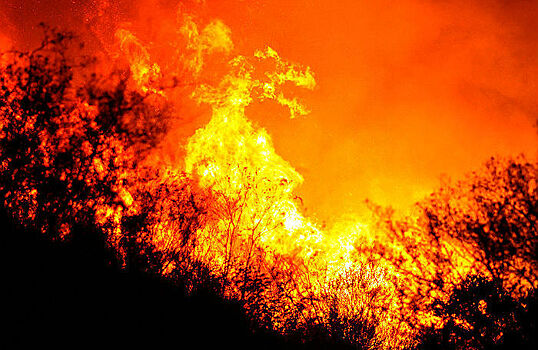 Дикий огонь накинулся на Калифорнию