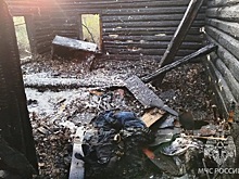 В Мордовии упавшая опора ЛЭП стала причиной серьезного пожара