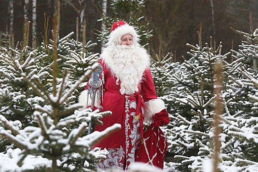 Как по Беларуси путешествует безвизовый Дед Мороз