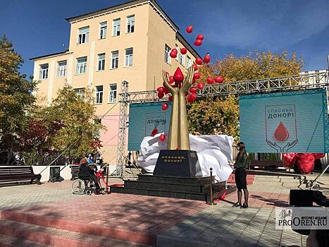 В региональном отделении ВООПИК раскритиковали памятник донорам в Оренбурге
