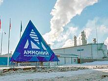 Страсти по «Аммонию». За татарстанского производителя удобрений может разгореться нешуточная борьба