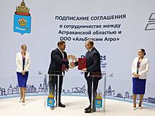 В Астраханской области построят завод по производству кормов из люцерны