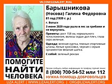 Под Саратовом пропала пенсионерка, которая отправилась за грибами