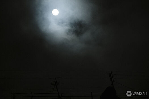 Водитель иномарки насмерть сбил пенсионера в Прокопьевске