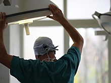 Названы профессии, которые еще полвека не отдадут роботам