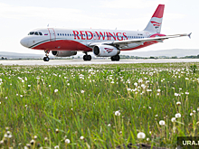 В Екатеринбурге задержали рейс в Турцию на 31 час