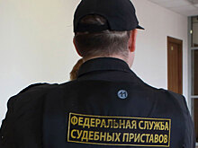 Должники смогут отправить жалобу за нарушение правил взыскания долга