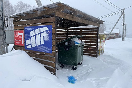 В Новосибирске задержали мать новорожденного, найденного в мусорном контейнере