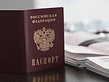 Совфед поддержит поправки о лишении приобретенного гражданства