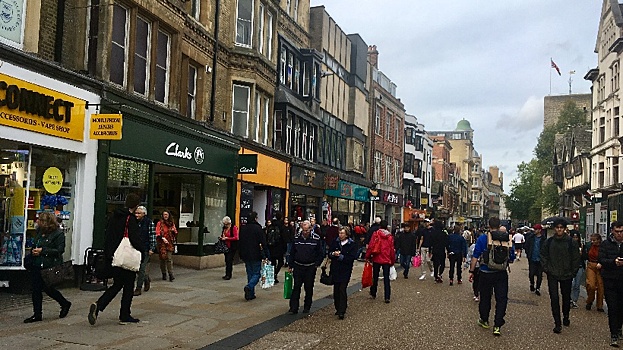 Об английской вежливости, «бессмысленной и беспощадной»