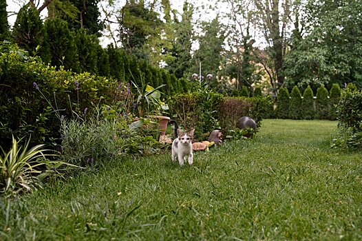 Эксперт объяснила, как законно снизить налог на землю