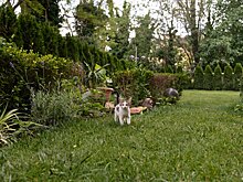 Эксперт объяснила, как законно снизить налог на землю