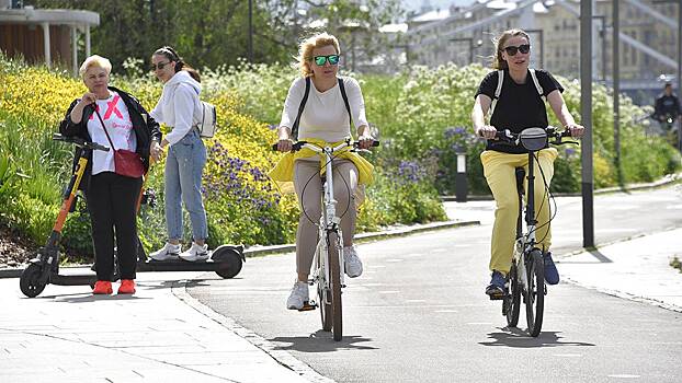 Докажите вину: почему столкновение велосипедистов не приравнивается к ДТП