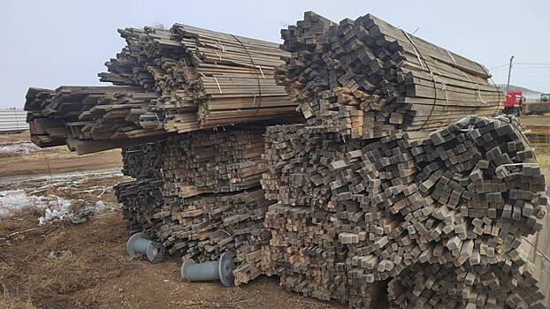 Банда контрабандистов в Забайкалье украла лес на миллиард рублей