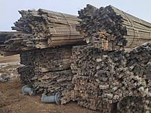 Банда контрабандистов в Забайкалье украла лес на миллиард рублей