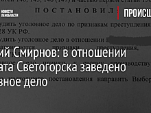 Евгений Смирнов: в отношении депутата Светогорска заведено уголовное дело