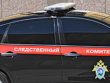 В деле о письмах с ядом от пенсионеров МВД дипломатам появились новые детали