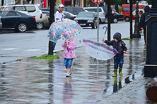 Мраморные клопы заполонили детские сады в Батуми