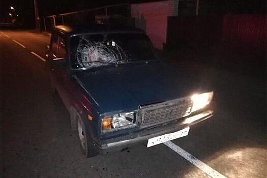 Двое пенсионеров погибли под колёсами авто в Воронежской области