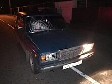 Двое пенсионеров погибли под колёсами авто в Воронежской области