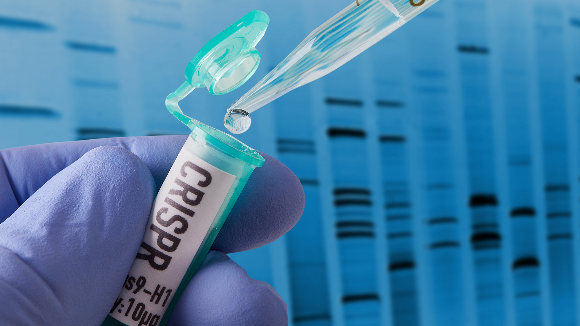 Генетические ножницы уже работают: как CRISPR изменит медицину