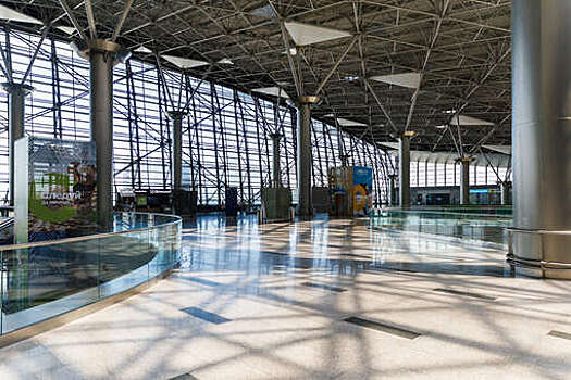 "Ъ": аэропорты попросили власти не запрещать проход в терминалы без билета